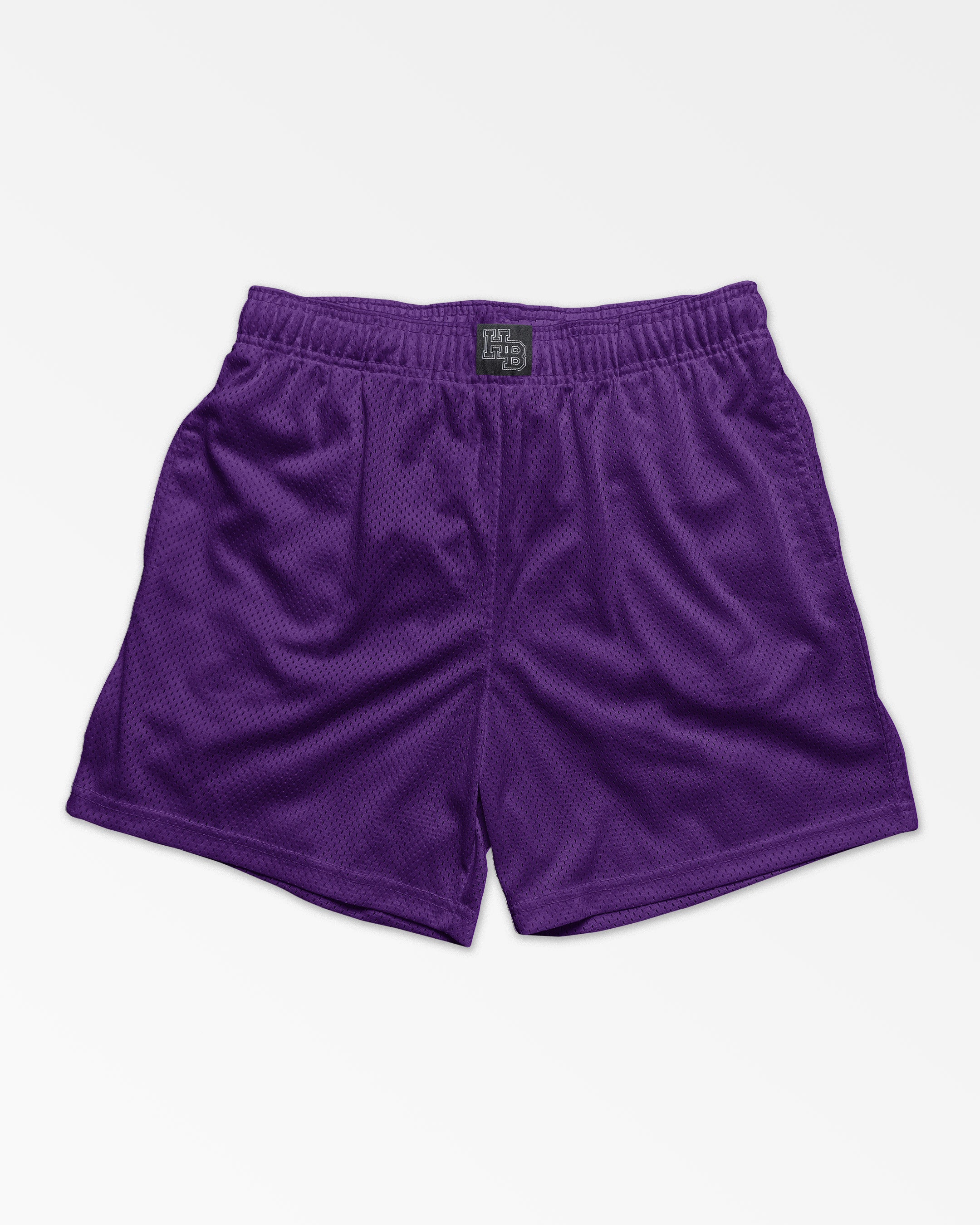 Establish Shorts Purple