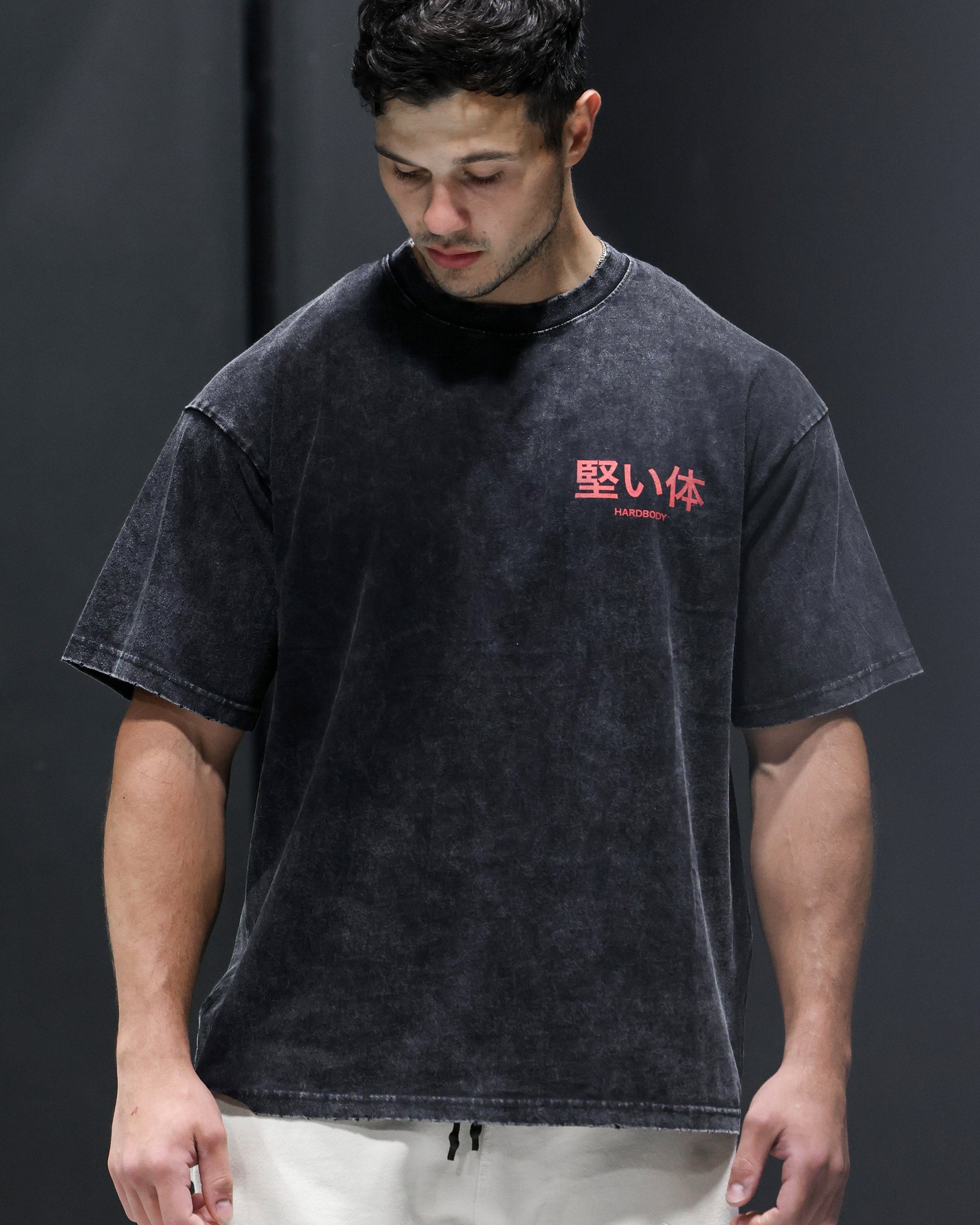 Rising Warrior Anime T-Shirt