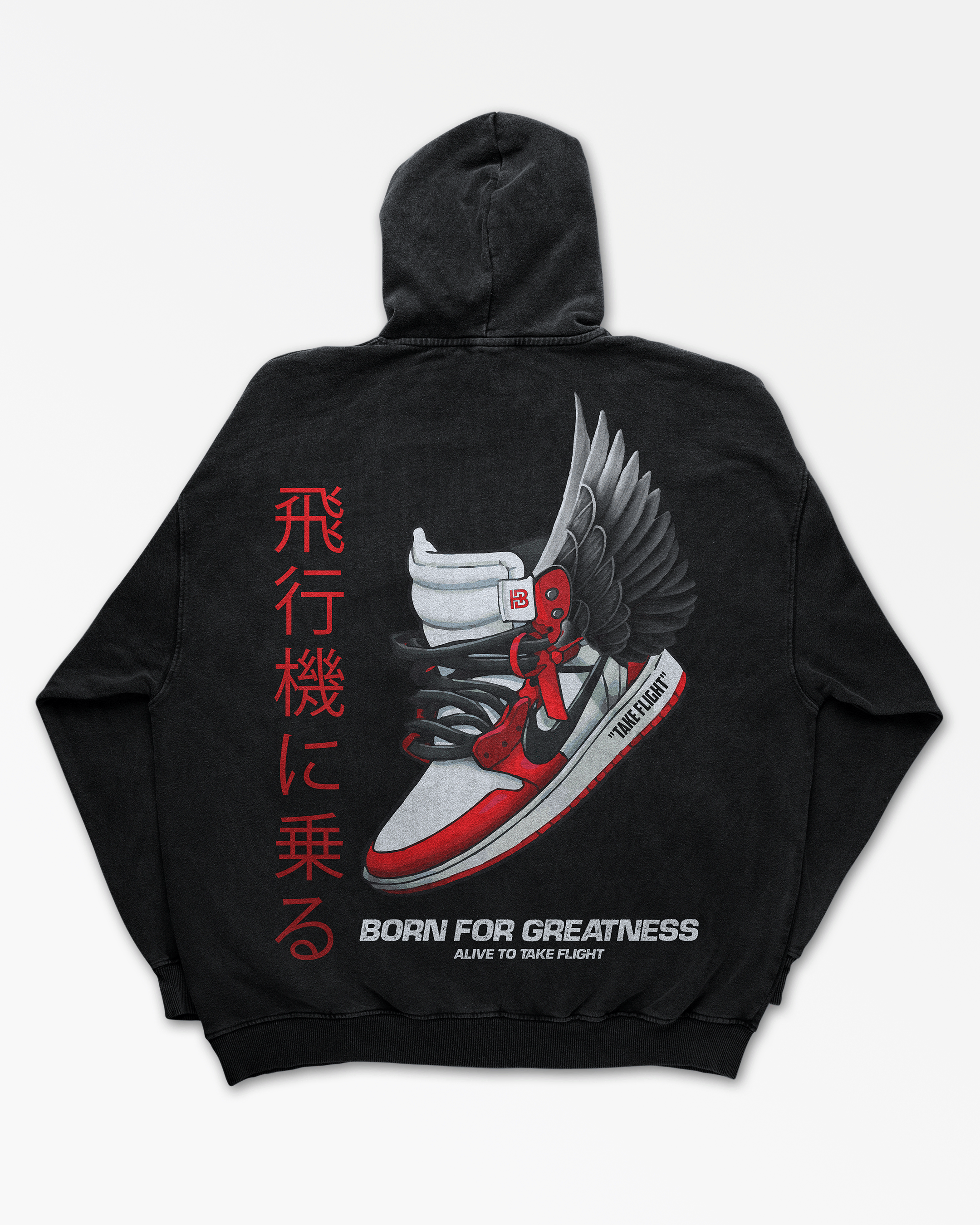 TAKE FLIGHT BORN FOR GREATNESS HOODIE