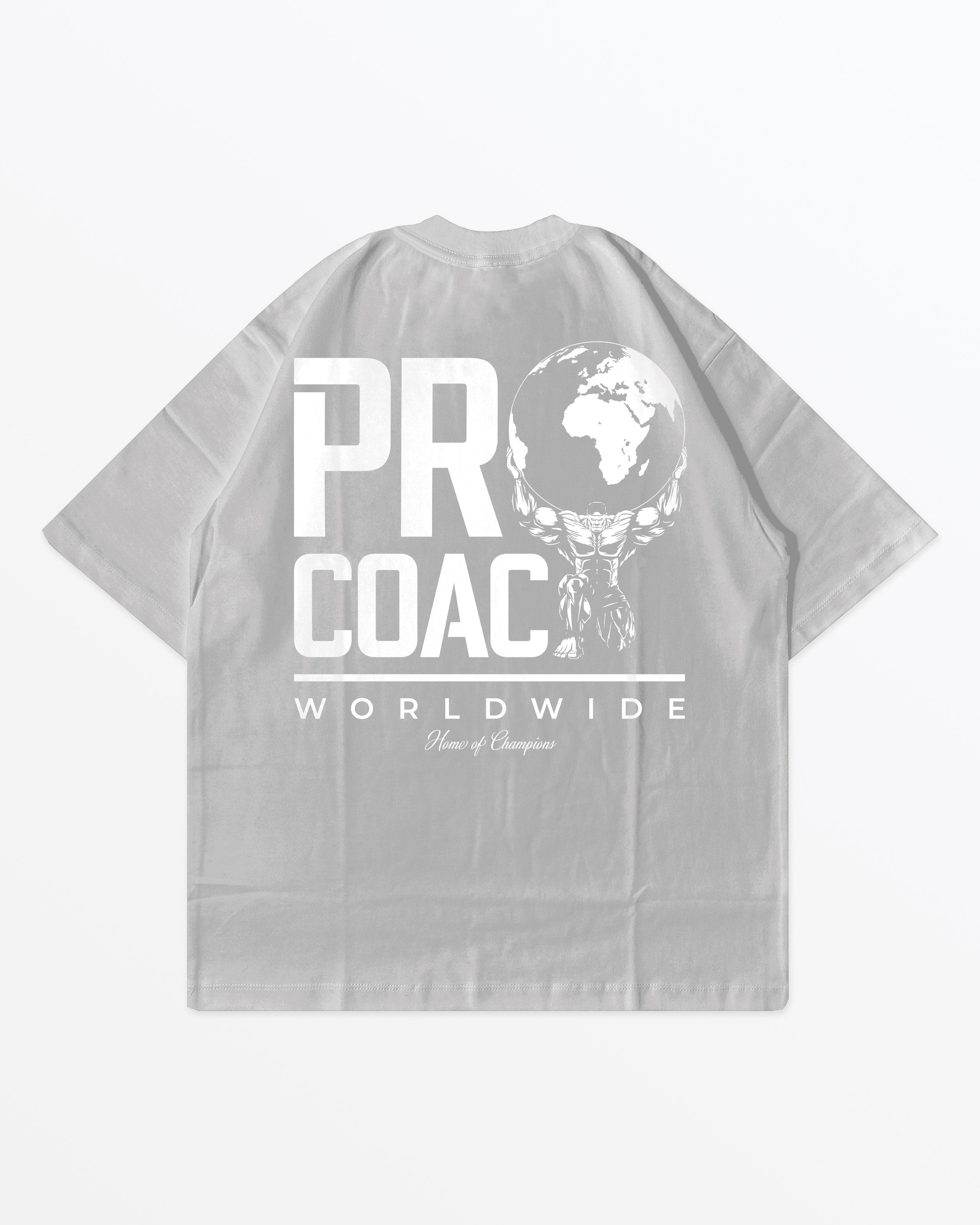 Procoach Worldwide T-Shirt Grey