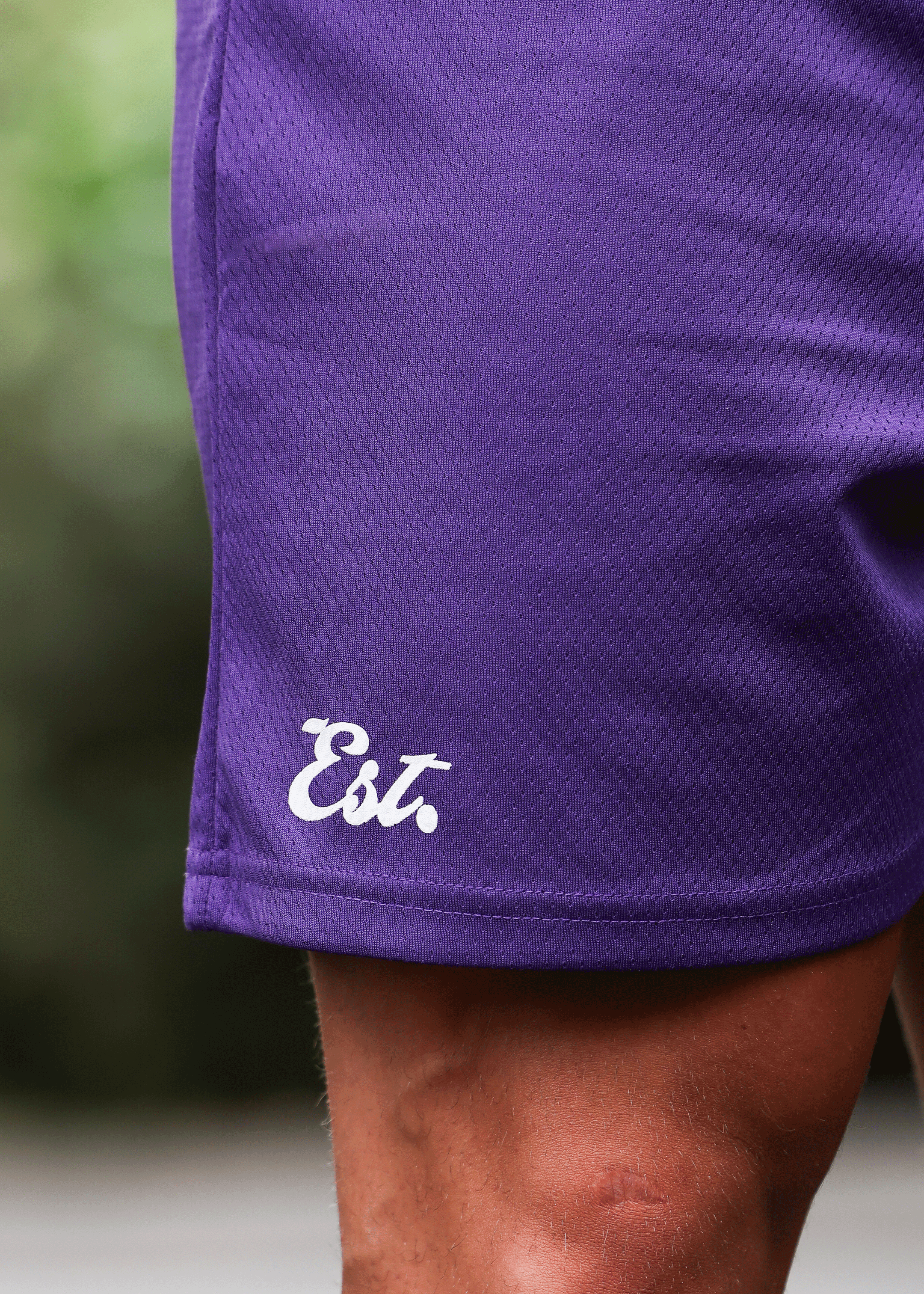 Establish Shorts Purple