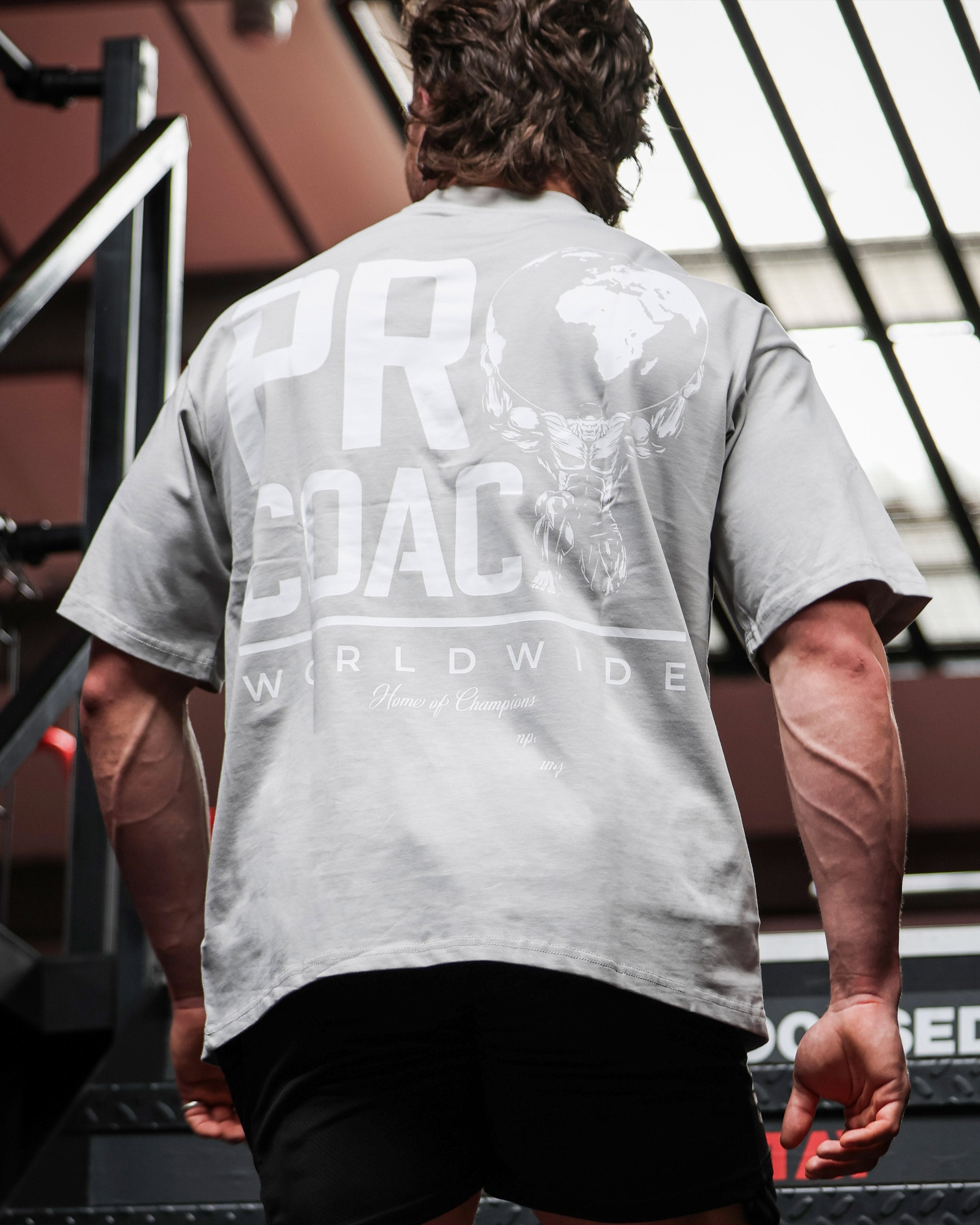 Procoach Worldwide T-Shirt Grey
