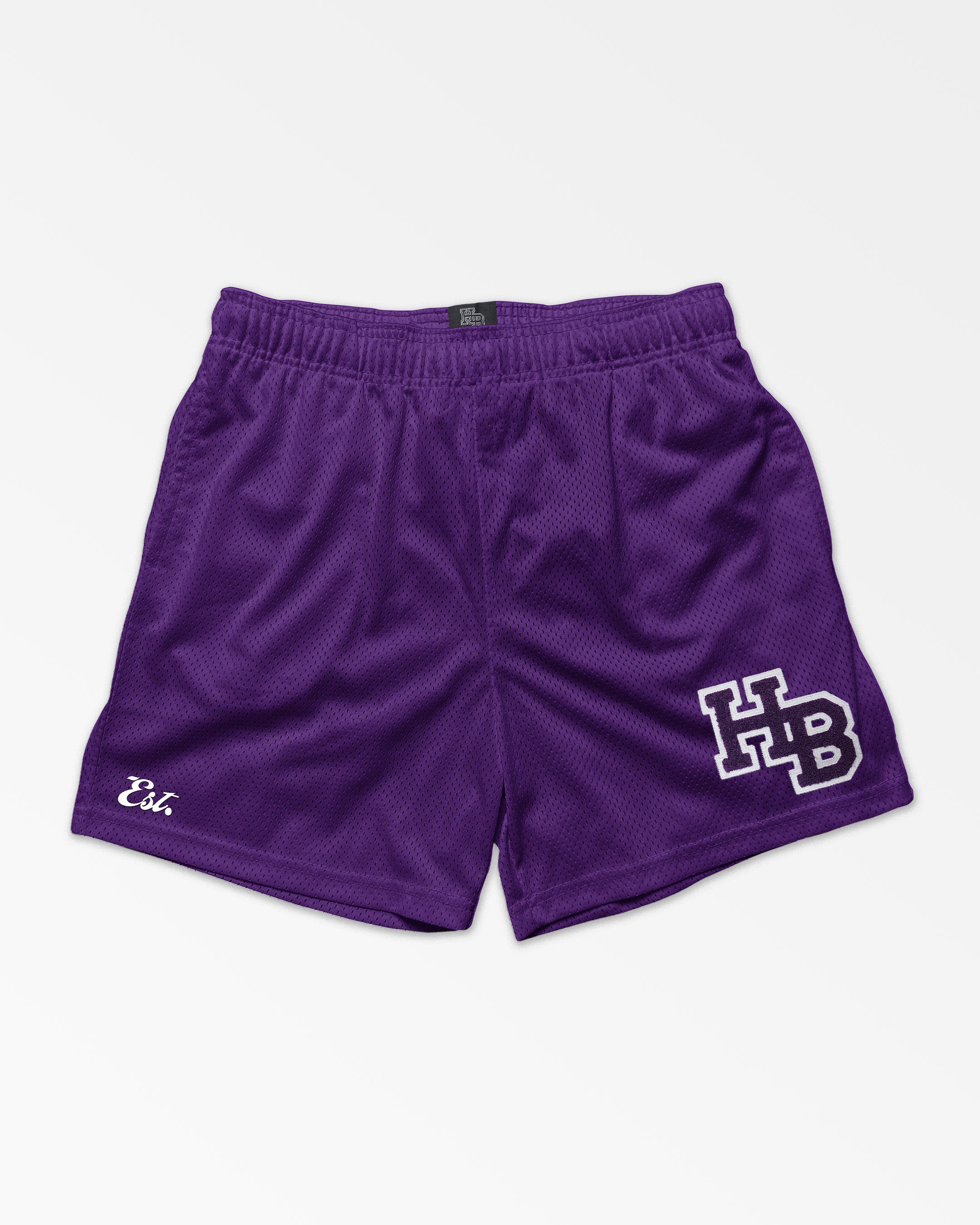 Establish Shorts Purple