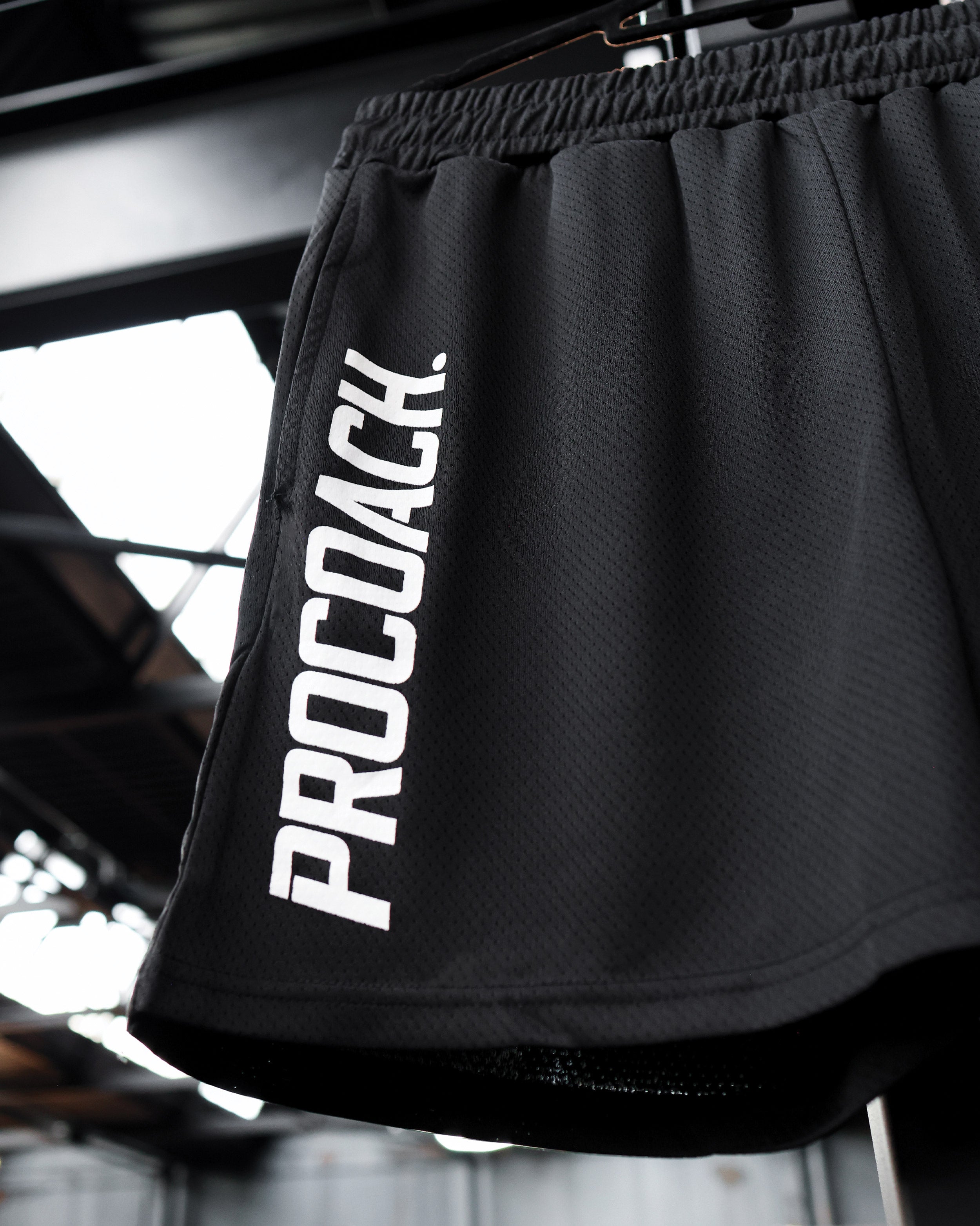 Procoach Shorts Black