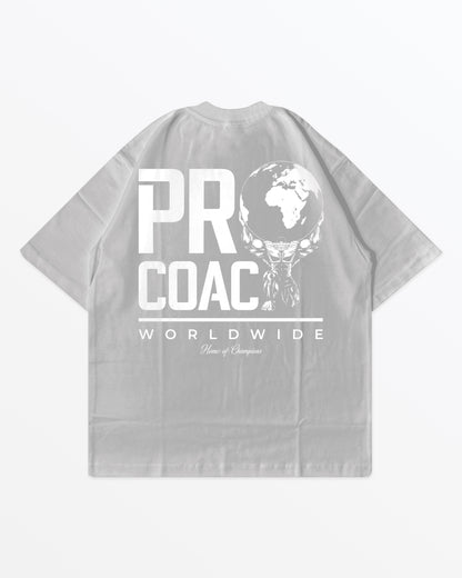 Procoach Worldwide T-Shirt Grey